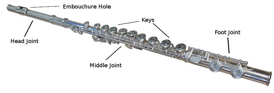 flute diagram of each part
