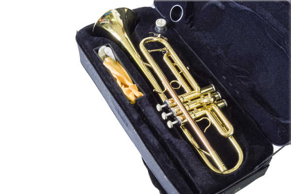 trumpet maintenance case photo