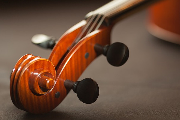 violin tuning pegs attached to a violin