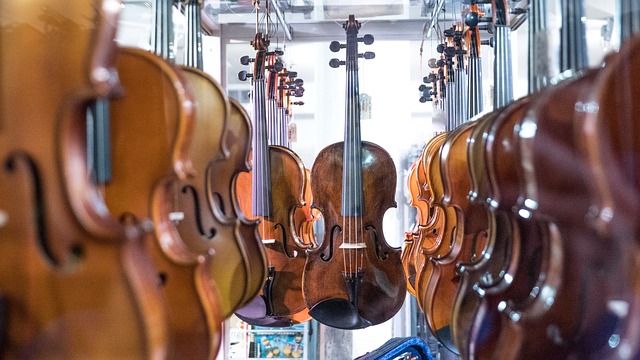 violins and violas hanging on the wall